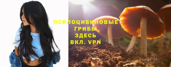 молекула духа Армянск