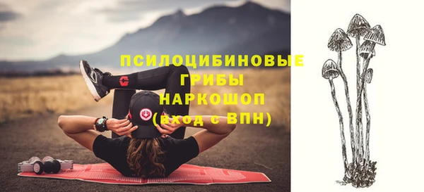 молекула духа Армянск