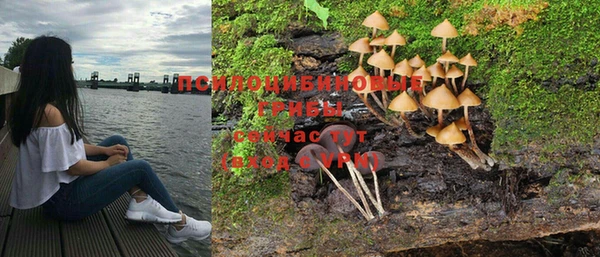 герыч Аркадак